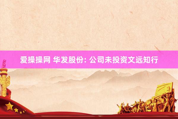 爱操操网 华发股份: 公司未投资文远知行