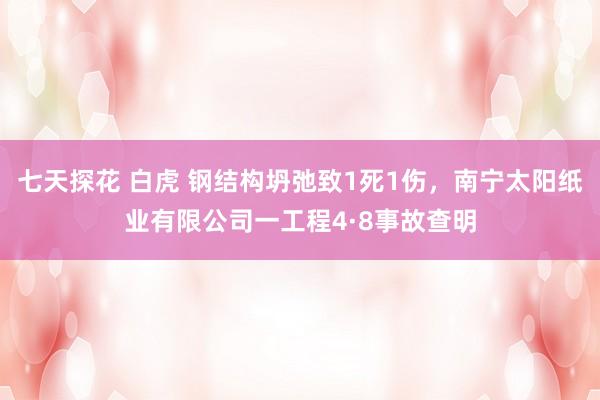 七天探花 白虎 钢结构坍弛致1死1伤，南宁太阳纸业有限公司一工程4·8事故查明