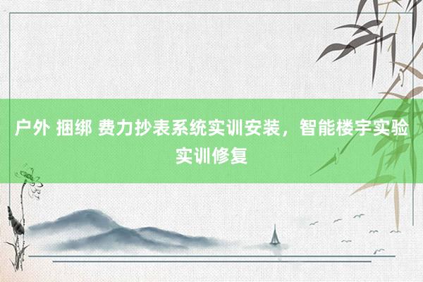 户外 捆绑 费力抄表系统实训安装，智能楼宇实验实训修复