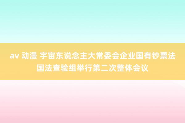 av 动漫 宇宙东说念主大常委会企业国有钞票法国法查验组举行第二次整体会议