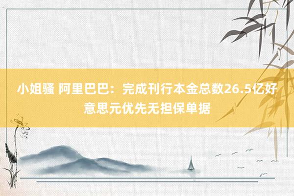 小姐骚 阿里巴巴：完成刊行本金总数26.5亿好意思元优先无担保单据