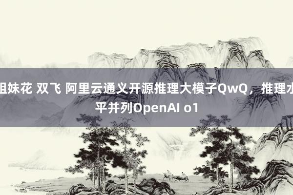 姐妹花 双飞 阿里云通义开源推理大模子QwQ，推理水平并列OpenAI o1