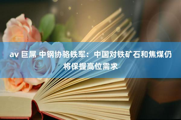 av 巨屌 中钢协骆铁军：中国对铁矿石和焦煤仍将保握高位需求
