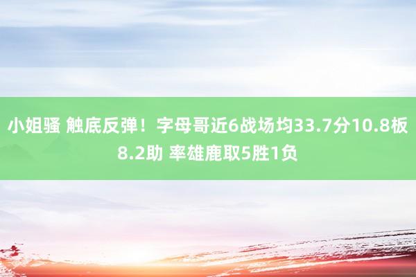 小姐骚 触底反弹！字母哥近6战场均33.7分10.8板8.2助 率雄鹿取5胜1负