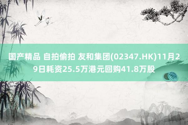 国产精品 自拍偷拍 友和集团(02347.HK)11月29日耗资25.5万港元回购41.8万股