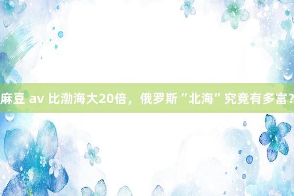 麻豆 av 比渤海大20倍，俄罗斯“北海”究竟有多富？