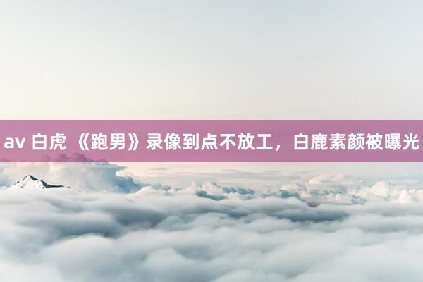 av 白虎 《跑男》录像到点不放工，白鹿素颜被曝光