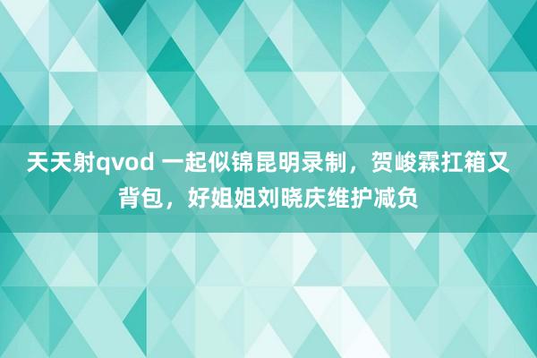 天天射qvod 一起似锦昆明录制，贺峻霖扛箱又背包，好姐姐刘晓庆维护减负