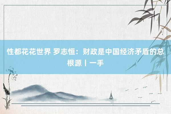 性都花花世界 罗志恒：财政是中国经济矛盾的总根源丨一手