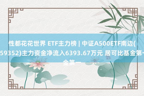 性都花花世界 ETF主力榜 | 中证A500ETF南边(159352)主力资金净流入6393.67万元 居可比基金第一