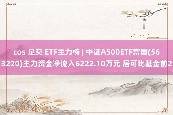 cos 足交 ETF主力榜 | 中证A500ETF富国(563220)主力资金净流入6222.10万元 居可比基金前2