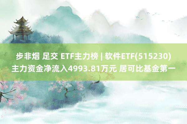 步非烟 足交 ETF主力榜 | 软件ETF(515230)主力资金净流入4993.81万元 居可比基金第一
