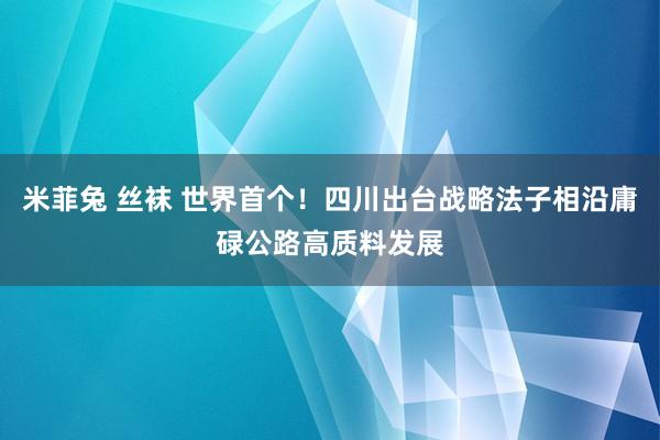 米菲兔 丝袜 世界首个！四川出台战略法子相沿庸碌公路高质料发展