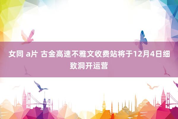 女同 a片 古金高速不雅文收费站将于12月4日细致洞开运营