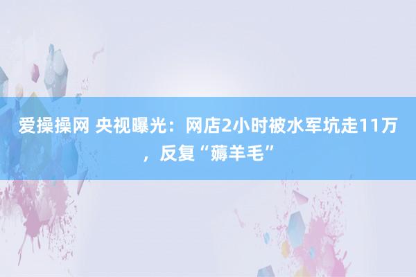 爱操操网 央视曝光：网店2小时被水军坑走11万，反复“薅羊毛”