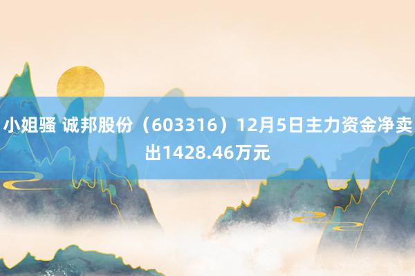 小姐骚 诚邦股份（603316）12月5日主力资金净卖出1428.46万元