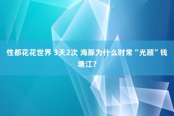 性都花花世界 3天2次 海豚为什么时常“光顾”钱塘江？