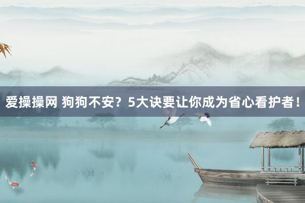 爱操操网 狗狗不安？5大诀要让你成为省心看护者！