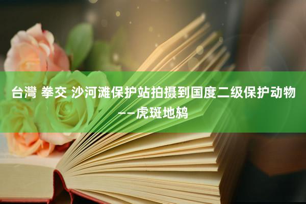 台灣 拳交 沙河滩保护站拍摄到国度二级保护动物——虎斑地鸫