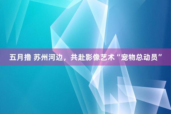五月撸 苏州河边，共赴影像艺术“宠物总动员”
