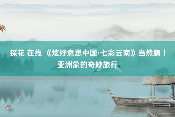 探花 在线 《炫好意思中国·七彩云南》当然篇丨亚洲象的奇妙旅行