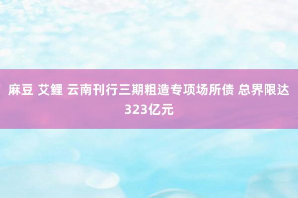 麻豆 艾鲤 云南刊行三期粗造专项场所债 总界限达323亿元