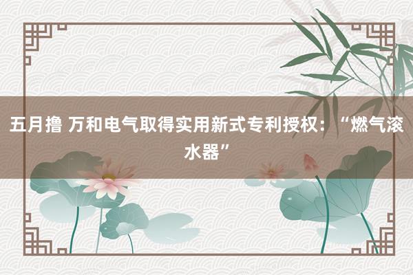 五月撸 万和电气取得实用新式专利授权：“燃气滚水器”