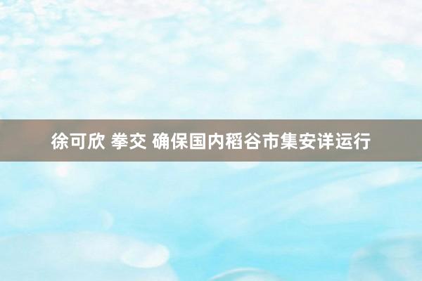 徐可欣 拳交 确保国内稻谷市集安详运行