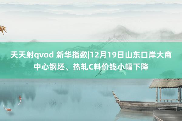 天天射qvod 新华指数|12月19日山东口岸大商中心钢坯、热轧C料价钱小幅下降