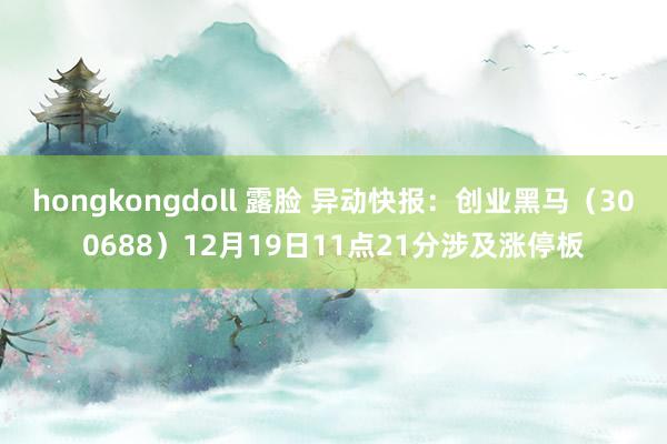 hongkongdoll 露脸 异动快报：创业黑马（300688）12月19日11点21分涉及涨停板