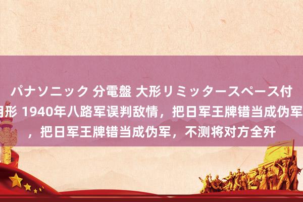 パナソニック 分電盤 大形リミッタースペース付 露出・半埋込両用形 1940年八路军误判敌情，把日军王牌错当成伪军，不测将对方全歼