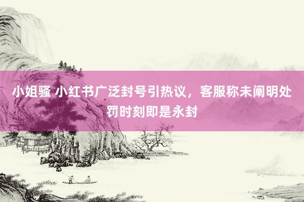 小姐骚 小红书广泛封号引热议，客服称未阐明处罚时刻即是永封