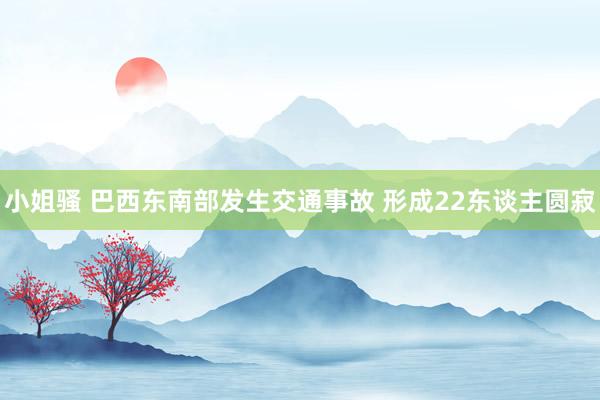 小姐骚 巴西东南部发生交通事故 形成22东谈主圆寂