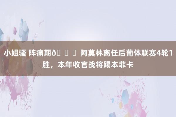 小姐骚 阵痛期😖阿莫林离任后葡体联赛4轮1胜，本年收官战将踢本菲卡