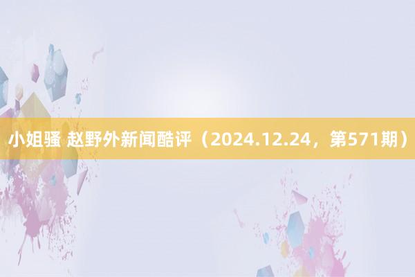 小姐骚 赵野外新闻酷评（2024.12.24，第571期）
