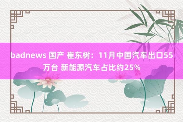 badnews 国产 崔东树：11月中国汽车出口55万台 新能源汽车占比约25%
