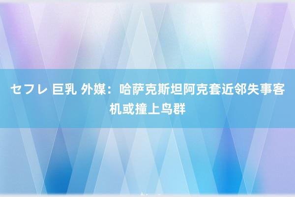 セフレ 巨乳 外媒：哈萨克斯坦阿克套近邻失事客机或撞上鸟群