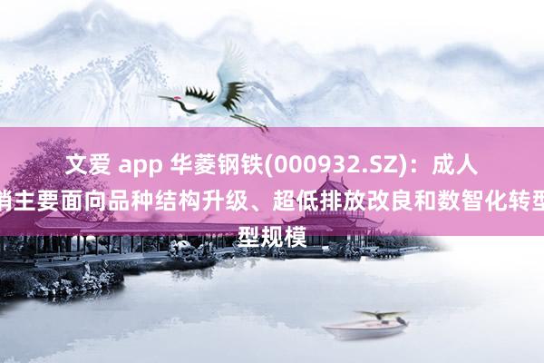 文爱 app 华菱钢铁(000932.SZ)：成人道开销主要面向品种结构升级、超低排放改良和数智化转型规模