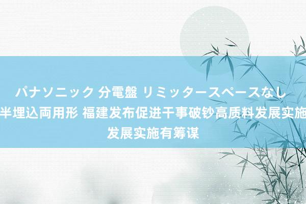 パナソニック 分電盤 リミッタースペースなし 露出・半埋込両用形 福建发布促进干事破钞高质料发展实施有筹谋