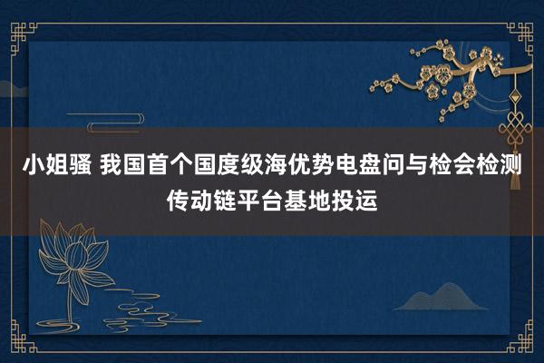 小姐骚 我国首个国度级海优势电盘问与检会检测传动链平台基地投运