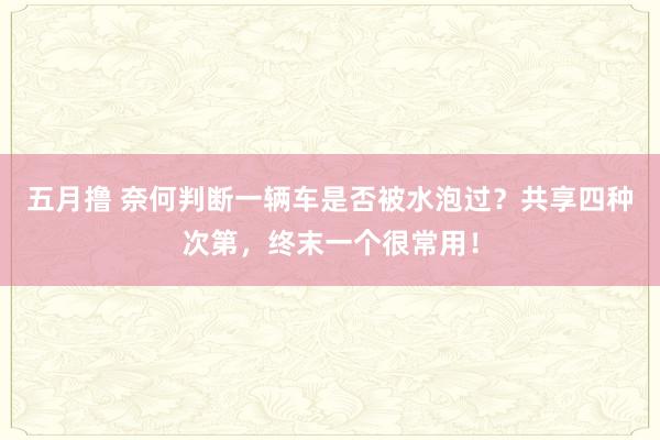 五月撸 奈何判断一辆车是否被水泡过？共享四种次第，终末一个很常用！