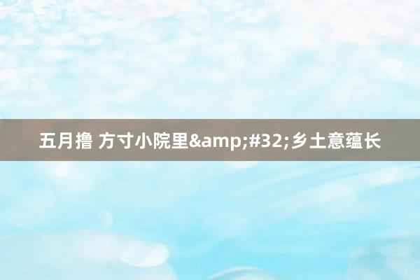 五月撸 方寸小院里&#32;乡土意蕴长