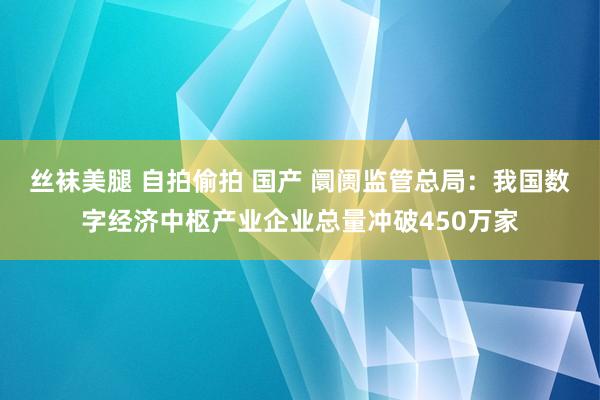 丝袜美腿 自拍偷拍 国产 阛阓监管总局：我国数字经济中枢产业企业总量冲破450万家