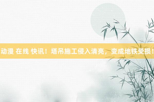动漫 在线 快讯！塔吊施工侵入清亮，变成地铁受损！