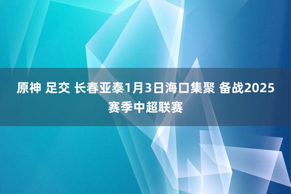 原神 足交 长春亚泰1月3日海口集聚 备战2025赛季中超联赛