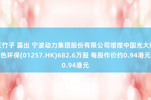 王竹子 露出 宁波动力集团股份有限公司增捏中国光大绿色环保(01257.HK)682.6万股 每股作价约0.94港元