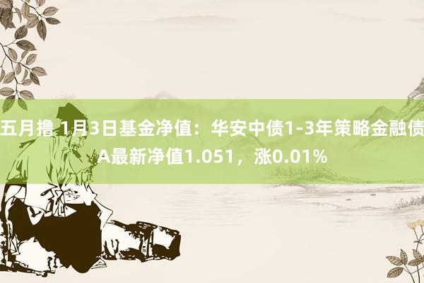 五月撸 1月3日基金净值：华安中债1-3年策略金融债A最新净值1.051，涨0.01%
