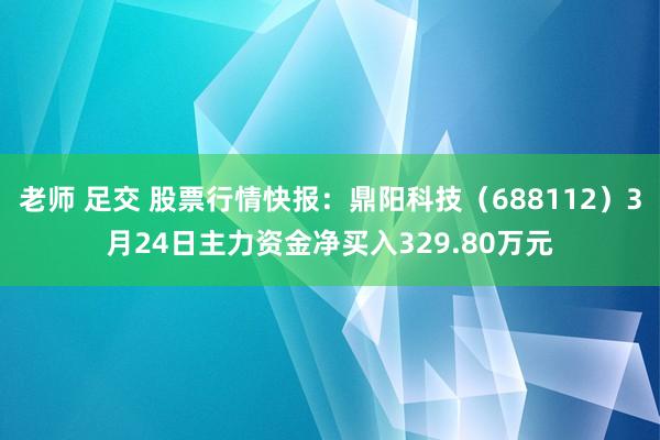 老师 足交 股票行情快报：鼎阳科技（688112）3月24日主力资金净买入329.80万元