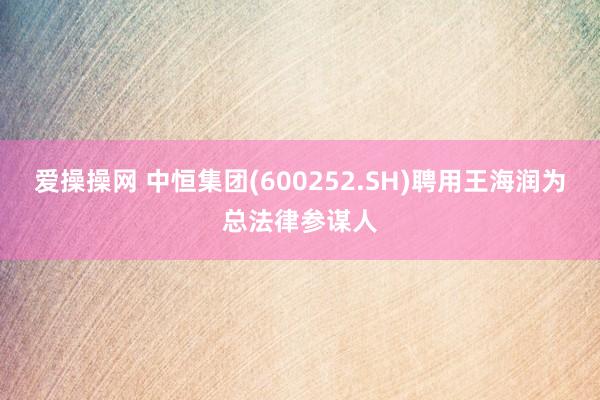 爱操操网 中恒集团(600252.SH)聘用王海润为总法律参谋人