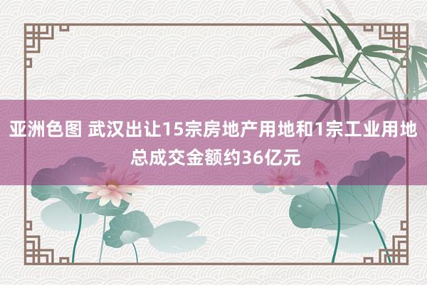 亚洲色图 武汉出让15宗房地产用地和1宗工业用地 总成交金额约36亿元